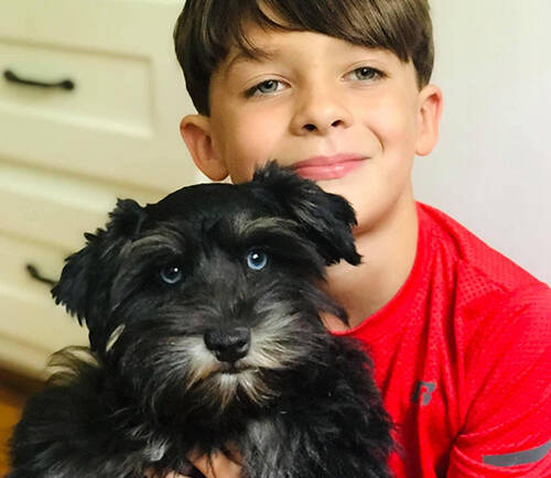 Cody – Son