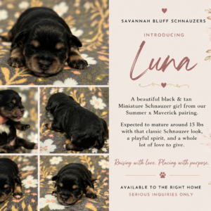 Luna